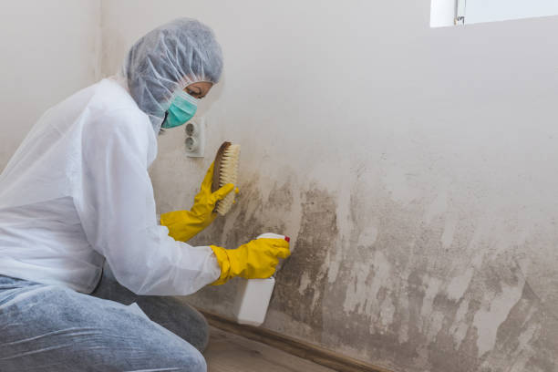 Mold Documentation for Insurance Claims in Seven Points, TX