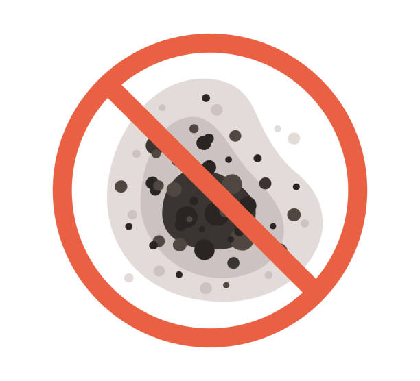 Best Emergency Mold Remediation  in Seven Points, TX