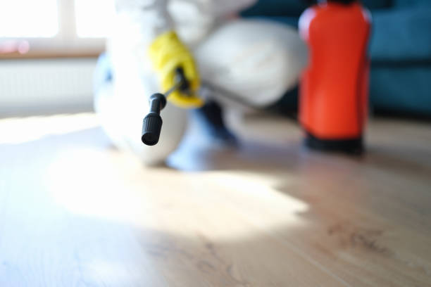 Best Dehumidification Services  in Seven Points, TX